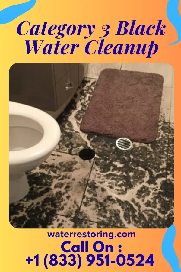 Category 3 Black Water Cleanup in White House Station, NJ