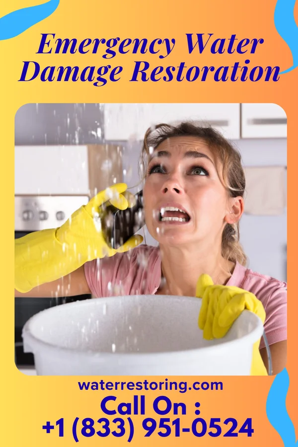 Emergency Water Damage Restoration in White House Station, NJ