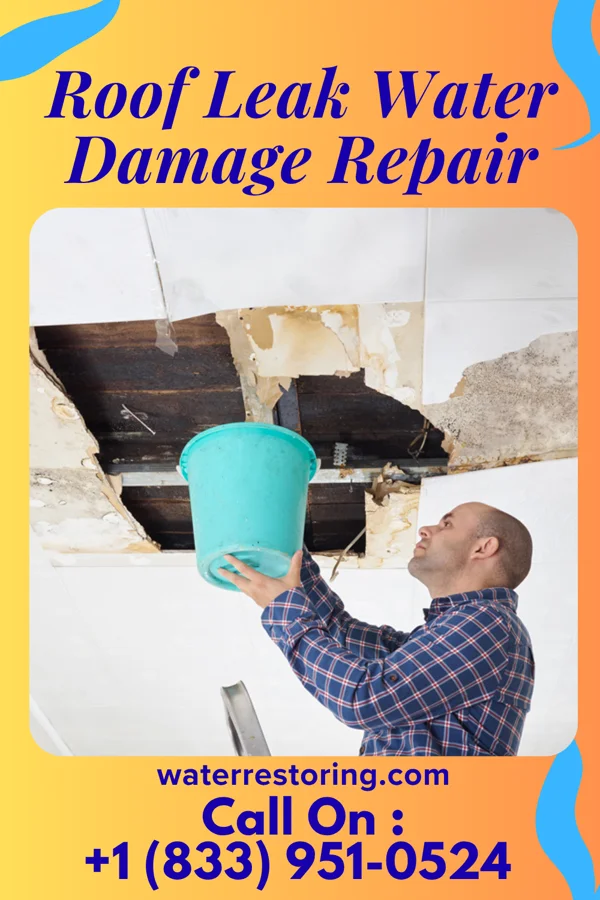 Roof Leak Water Damage Repair in White House Station, NJ