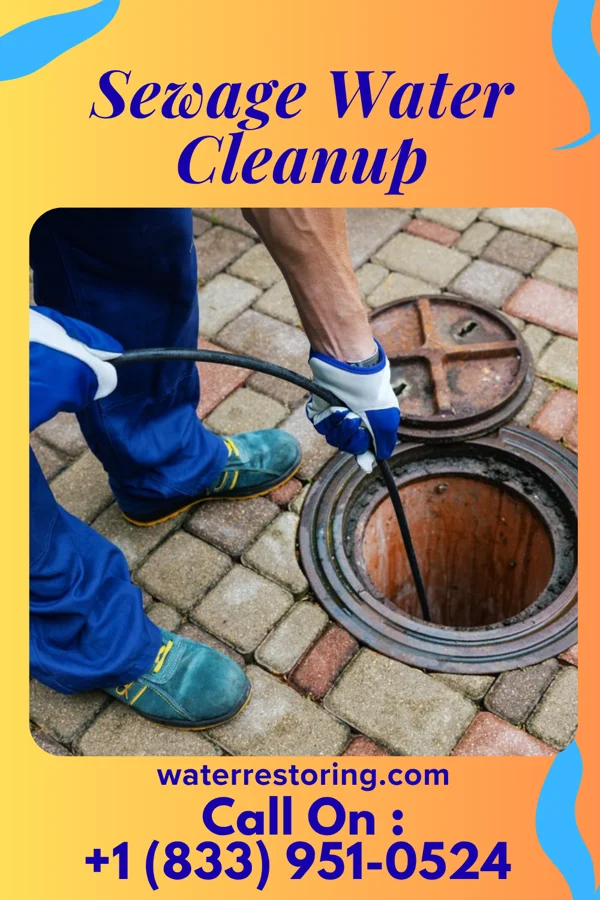 Sewage Water Cleanup in White House Station, NJ