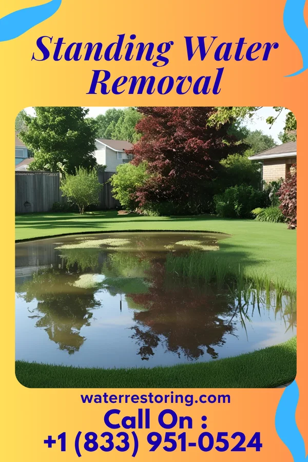 Standing Water Removal in White House Station, NJ